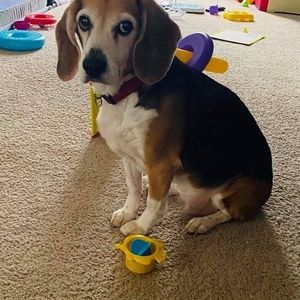 Meet your Posher, Dave